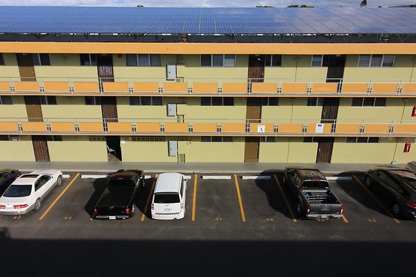 th IMG 1786 th IMG 1786