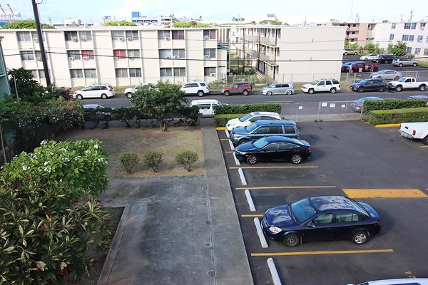 th IMG 1805 th IMG 1805