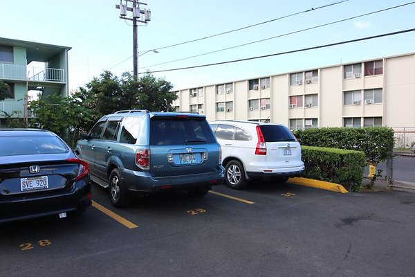 th IMG 1810 th IMG 1810