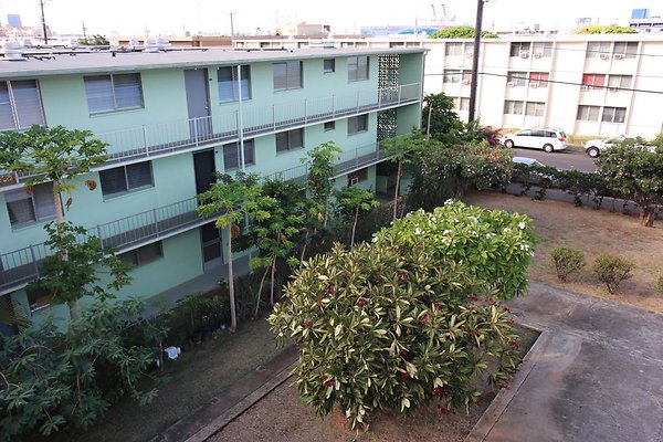 th IMG 1804 th IMG 1804