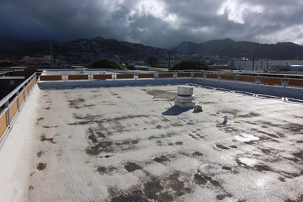 th IMG 1779 th IMG 1779