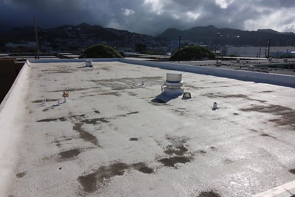 th IMG 1782 th IMG 1782