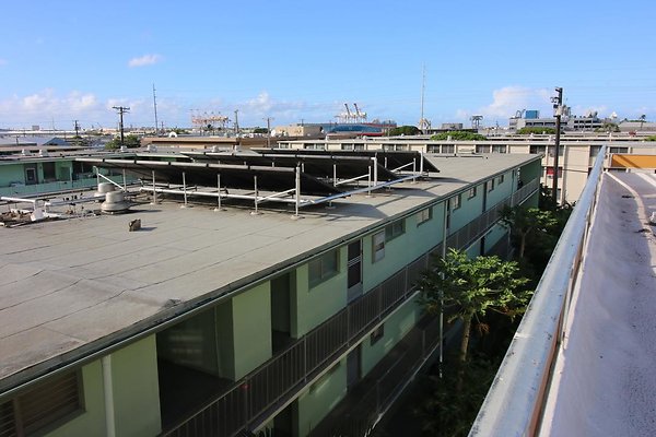 th IMG 1796 th IMG 1796