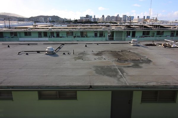 th IMG 1795 th IMG 1795