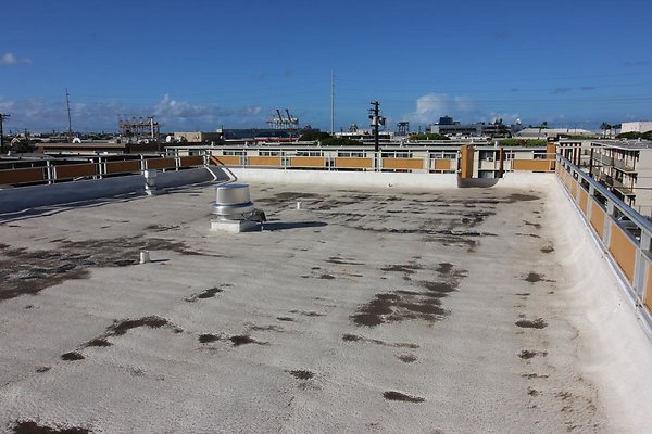 th IMG 1784 th IMG 1784