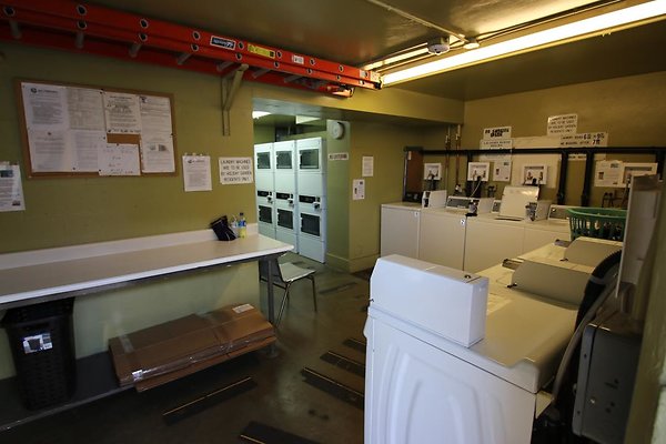 th IMG 1771 th IMG 1771