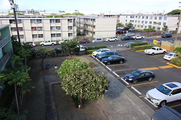 th IMG 1801 th IMG 1801