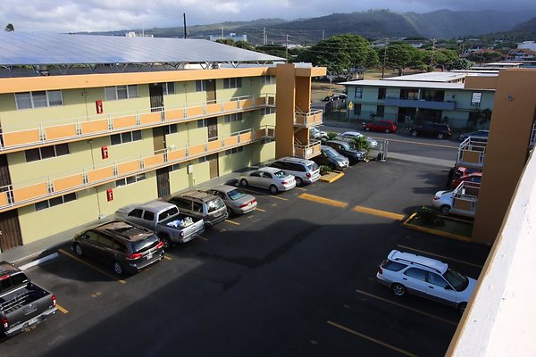 th IMG 1787 th IMG 1787