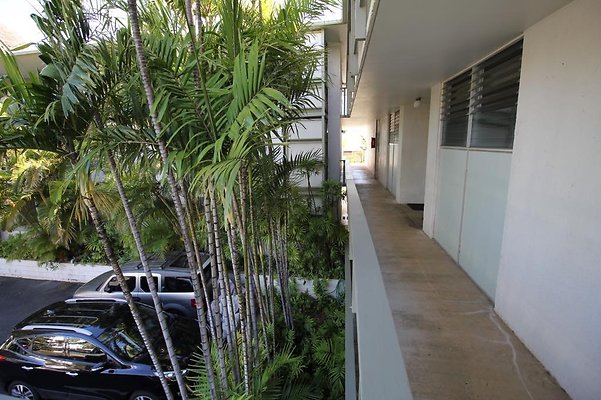 th IMG 0317 th IMG 0317