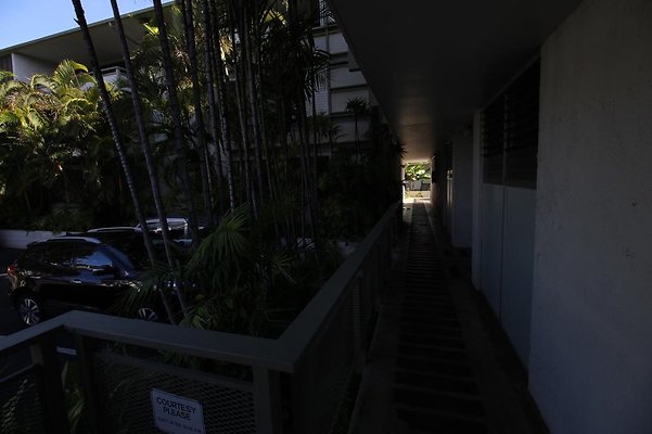 th IMG 0305 th IMG 0305