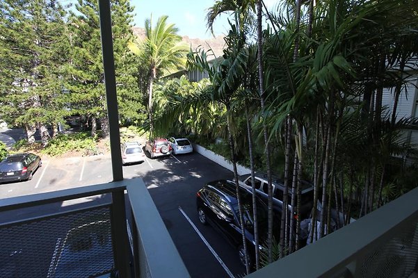 th IMG 0318 th IMG 0318