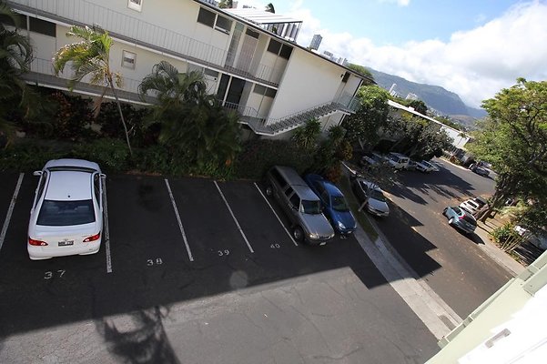 th IMG 0311 th IMG 0311