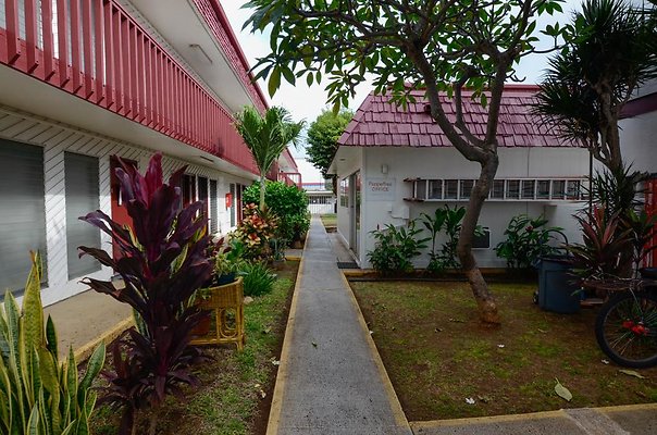 th DSC1936 th DSC1936