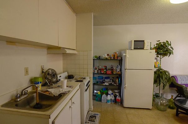 th DSC1919 th DSC1919