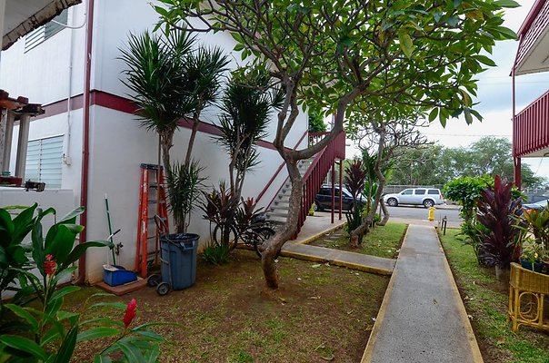 th DSC1937 th DSC1937