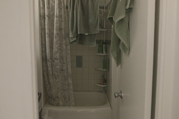 Kaimuki 724KamuelaAve11-5 Kaimuki 724KamuelaAve11-5