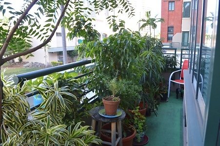 th DSC 0626 th DSC 0626