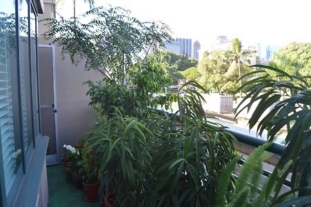 th DSC 0627 th DSC 0627