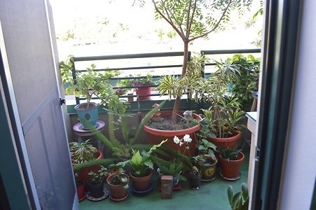 th DSC 0625 th DSC 0625