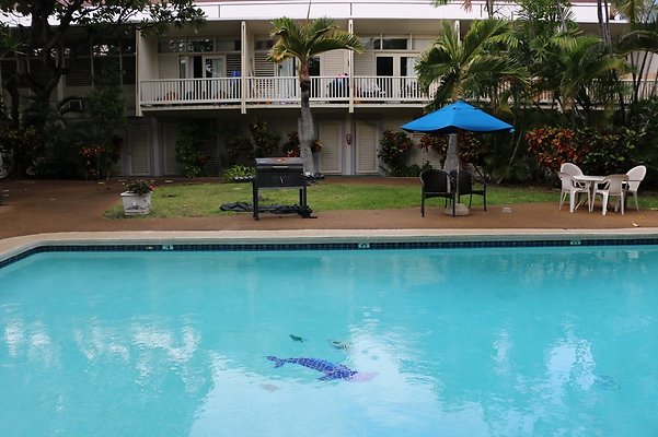 th IMG 8374 hero th IMG 8374 hero