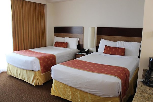 th IMG 2197 th IMG 2197