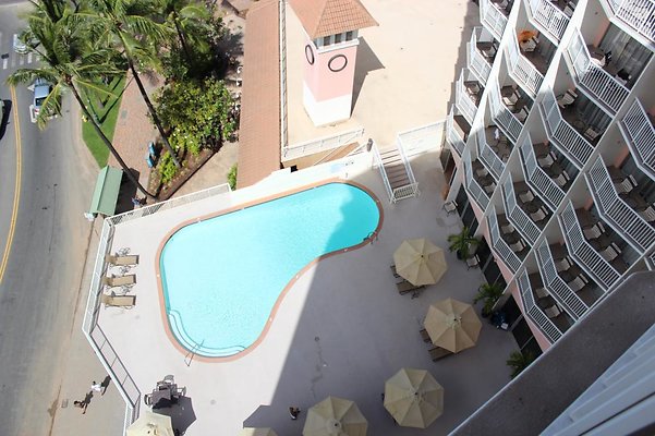 th IMG 2191 th IMG 2191