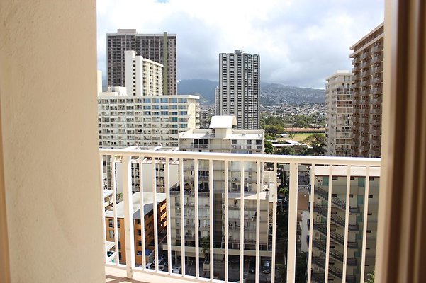 th IMG 2195 th IMG 2195