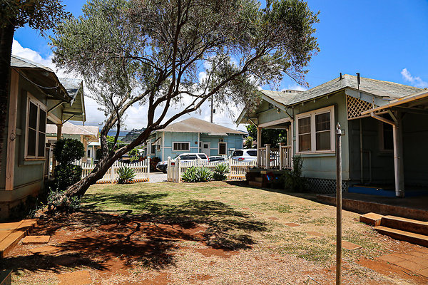 20190904-3515 Harding Ave 039 20190904-3515 Harding Ave 039