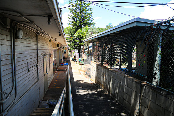 20190904-3515 Harding Ave 042 20190904-3515 Harding Ave 042