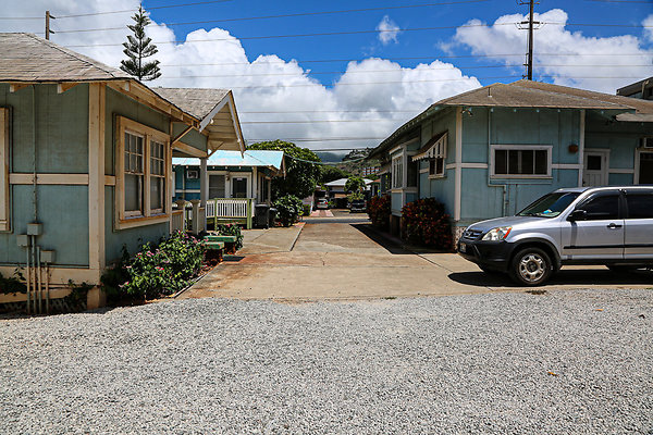 20190904-3515 Harding Ave 046 20190904-3515 Harding Ave 046