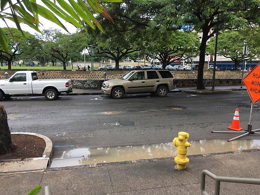 th IMG 1612 th IMG 1612