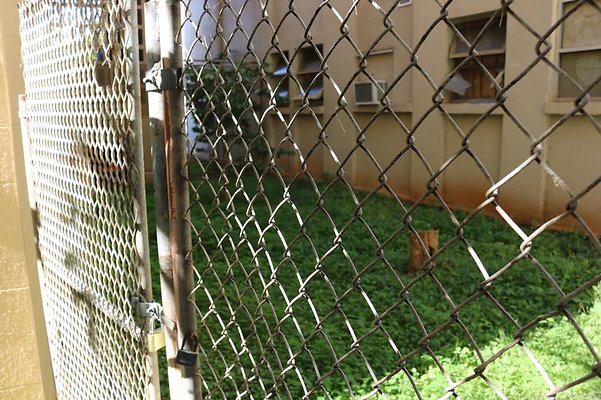 th IMG 5096 th IMG 5096