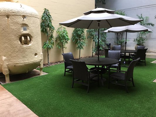 th IMG 1660 th IMG 1660