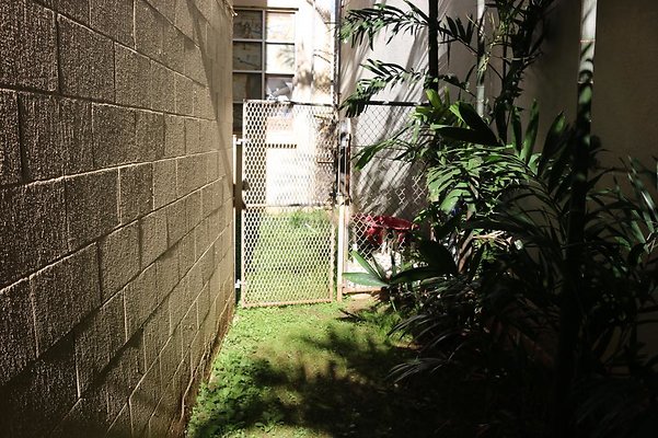 th IMG 5095 th IMG 5095