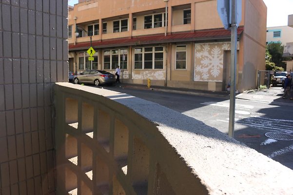 th IMG 5103 th IMG 5103