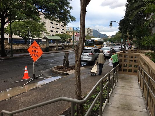 th IMG 1613 th IMG 1613