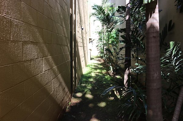 th IMG 5093 th IMG 5093