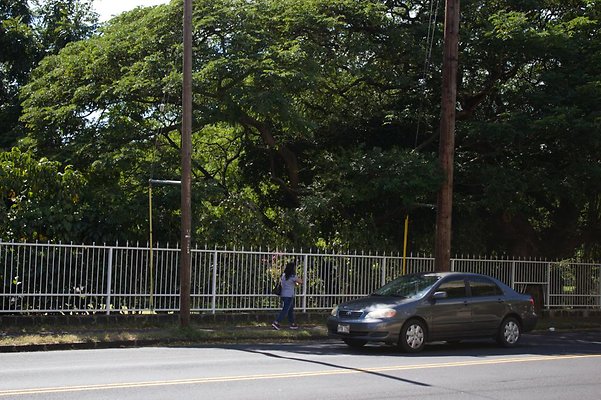 th IMG 9361 th IMG 9361