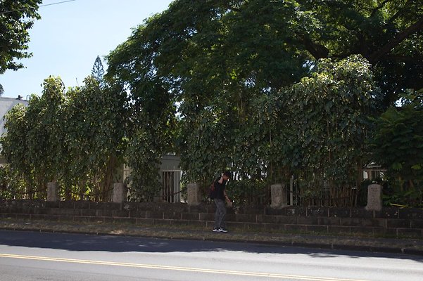 th IMG 9359 th IMG 9359