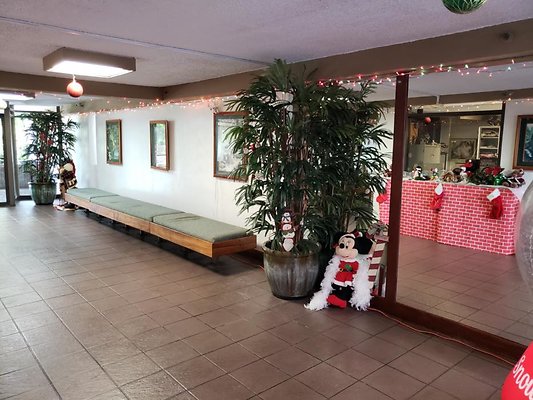 th 20191204 123136 th 20191204 123136