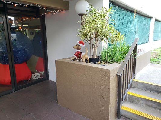 th 20191204 122912 th 20191204 122912