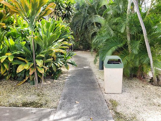 th 20191204 122504 th 20191204 122504