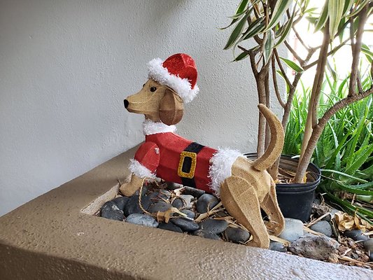 th 20191204 122921 th 20191204 122921