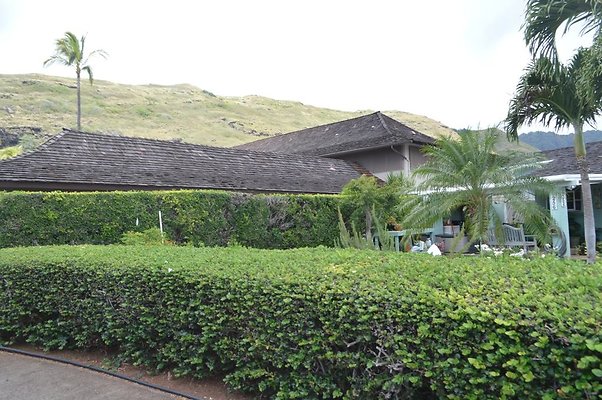 th DSC 0046 th DSC 0046