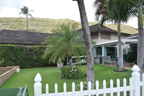 th DSC 0052 th DSC 0052