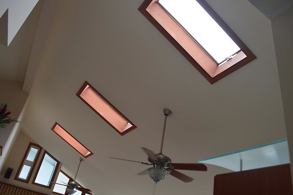 th DSC 0062 th DSC 0062