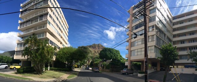 Coconut Ave Coconut Ave