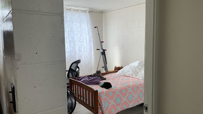 th IMG 6686 th IMG 6686