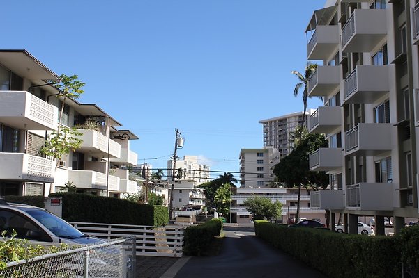 HI50 S5 Tantalus Vista & Pointeana Kewalo 02 HI50 S5 Tantalus Vista & Pointeana Kewalo 02