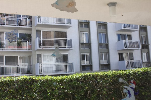 HI50 S5 Tantalus Vista & Pointeana Kewalo 03 HI50 S5 Tantalus Vista & Pointeana Kewalo 03